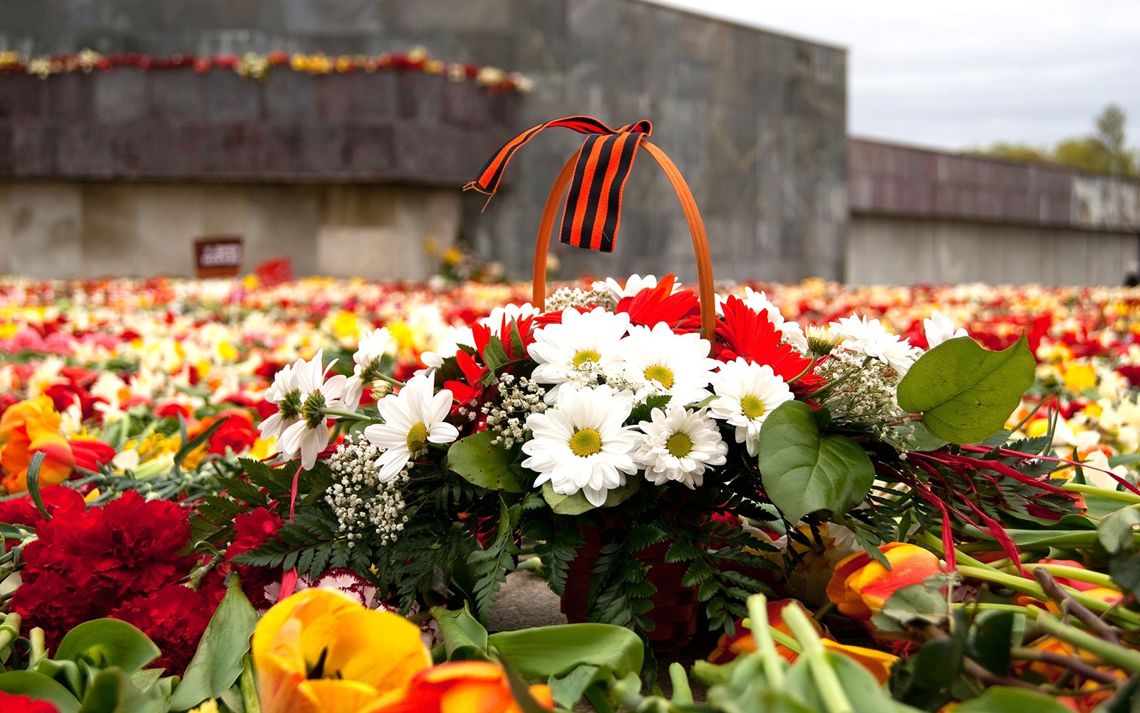 Há uma cesta de flores em um campo de flores (dia da vitória, 9 de maio, flor, floricultura, planta)