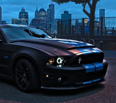 coche, ford, mustang, shelby, deporte