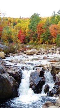 coloré, couleurs, automne, new hampshire, états unis