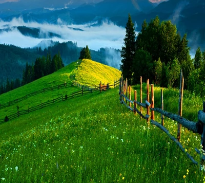 Lush Green Hillside with Wooden Fencing and Misty Mountains in Spring