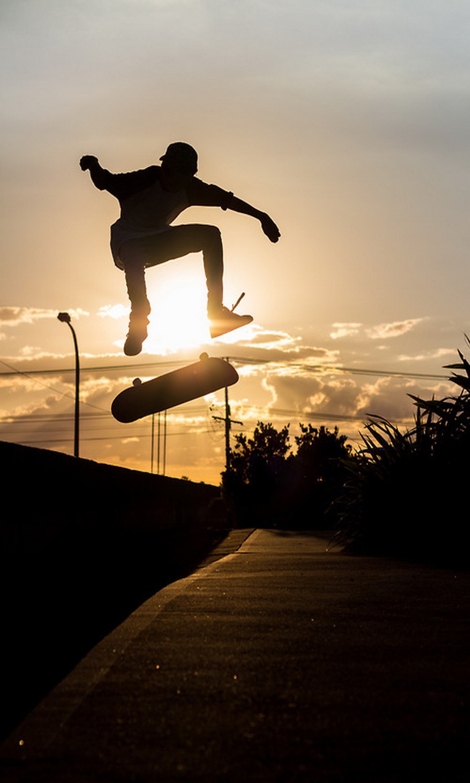 board, boy, skate, sunny wallpaper