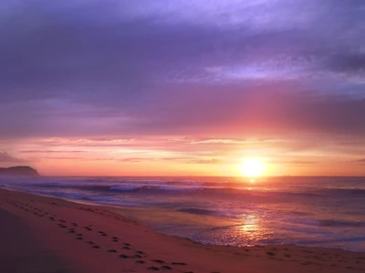 plage, paysage, nature