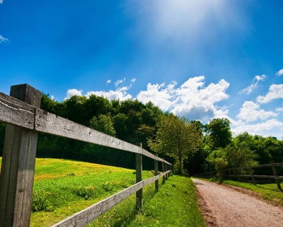 field, forest, gate, grass, landscape