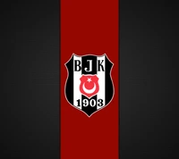 besiktas, bjk, águia negra, karakartal, kartal