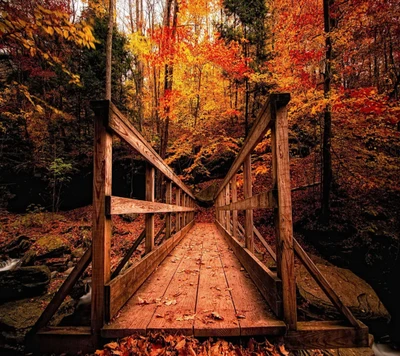 Ruhige Holzbrücke zwischen lebhaften Herbstlaub