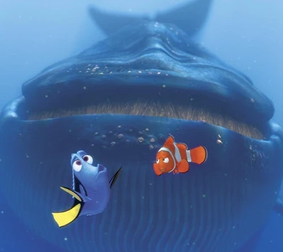 nemo, baleine