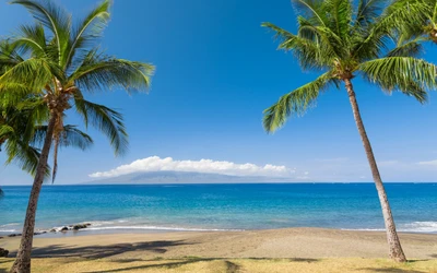 Vista de praia tropical com palmeiras emoldurando um sereno mar caribenho e uma ilha distante sob um céu azul claro.