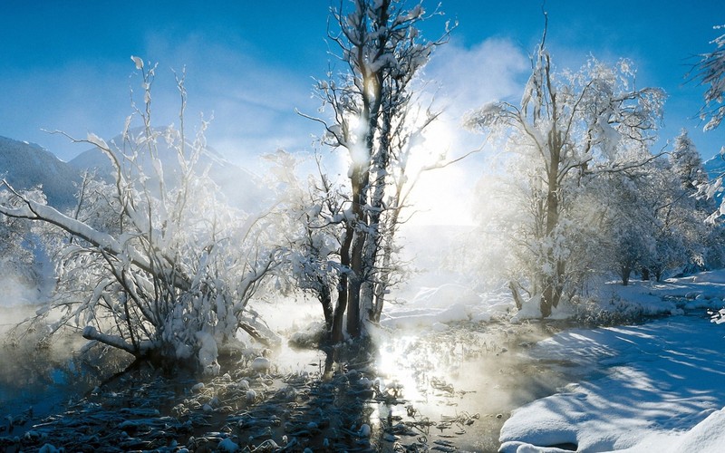 Снежные деревья и вода в ручье в горной местности (зима, снег, природа, дерево, замораживание)