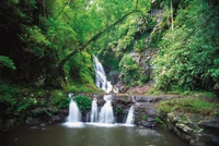 floresta tropical, cachoeira, recursos hídricos, corpo de água, natureza