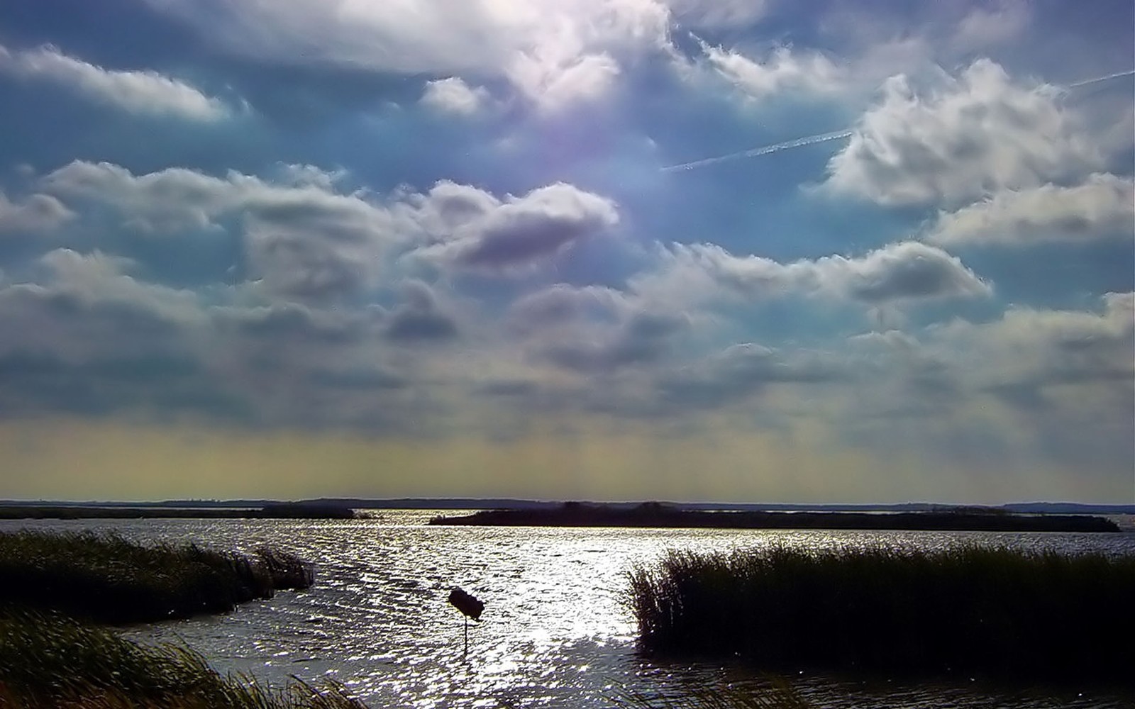 Il y a un oiseau qui est debout dans l'eau (nuage, eau, horizon, mer, océan)