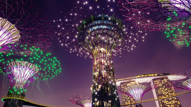 Singapore's gardens of the bay at night (gardens by the bay, park, tourist attraction, purple, lighting)