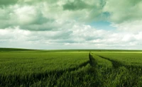 Prairie verte luxuriante sous un ciel nuageux