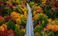 Malerische Herbststraße umgeben von lebhaften Herbstfarben