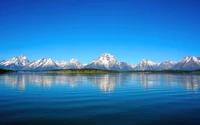 Reflexões tranquilas das Montanhas Grand Teton no Lago Jenny