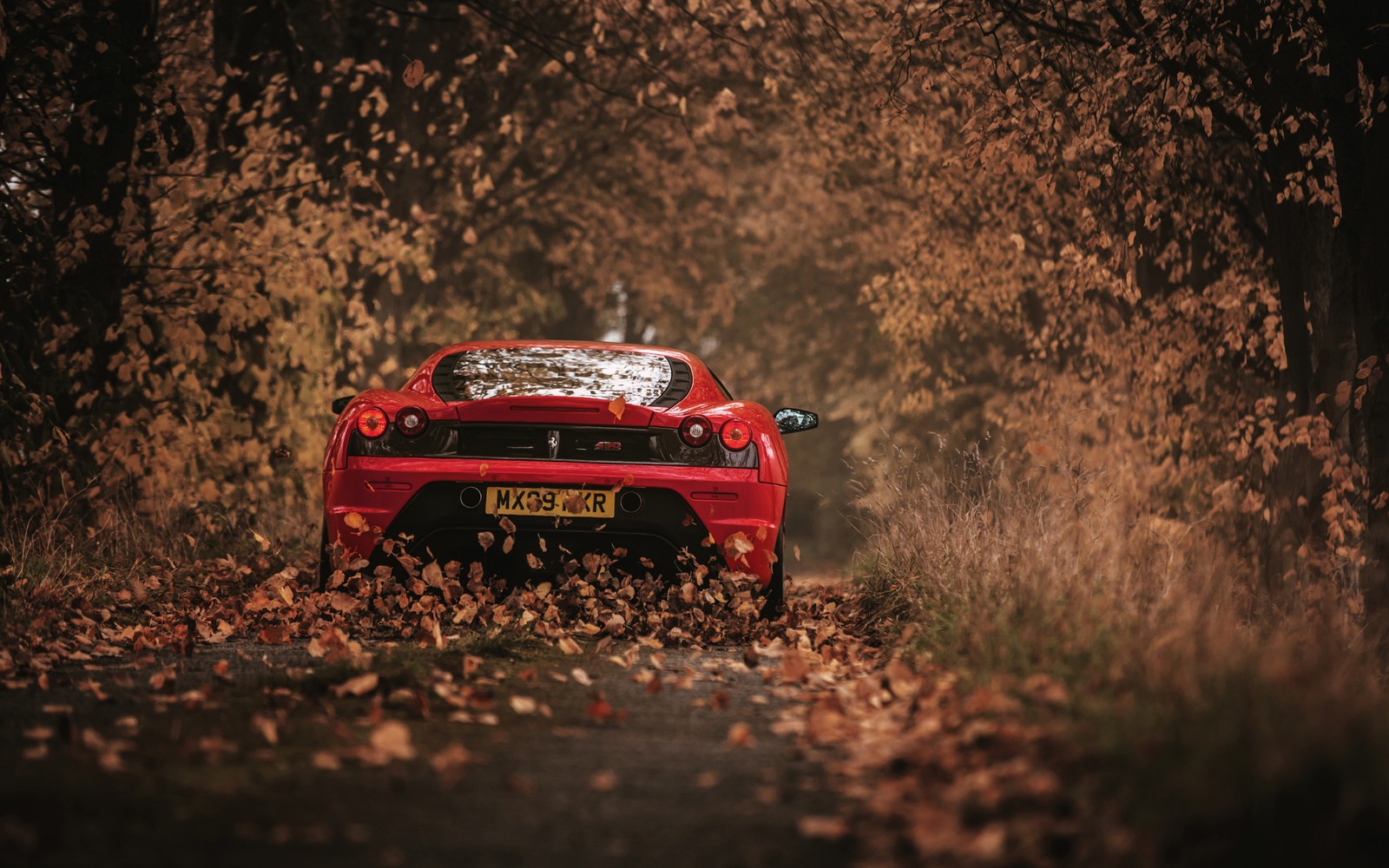 sports car, red, race car, scuderia ferrari, rallying wallpaper