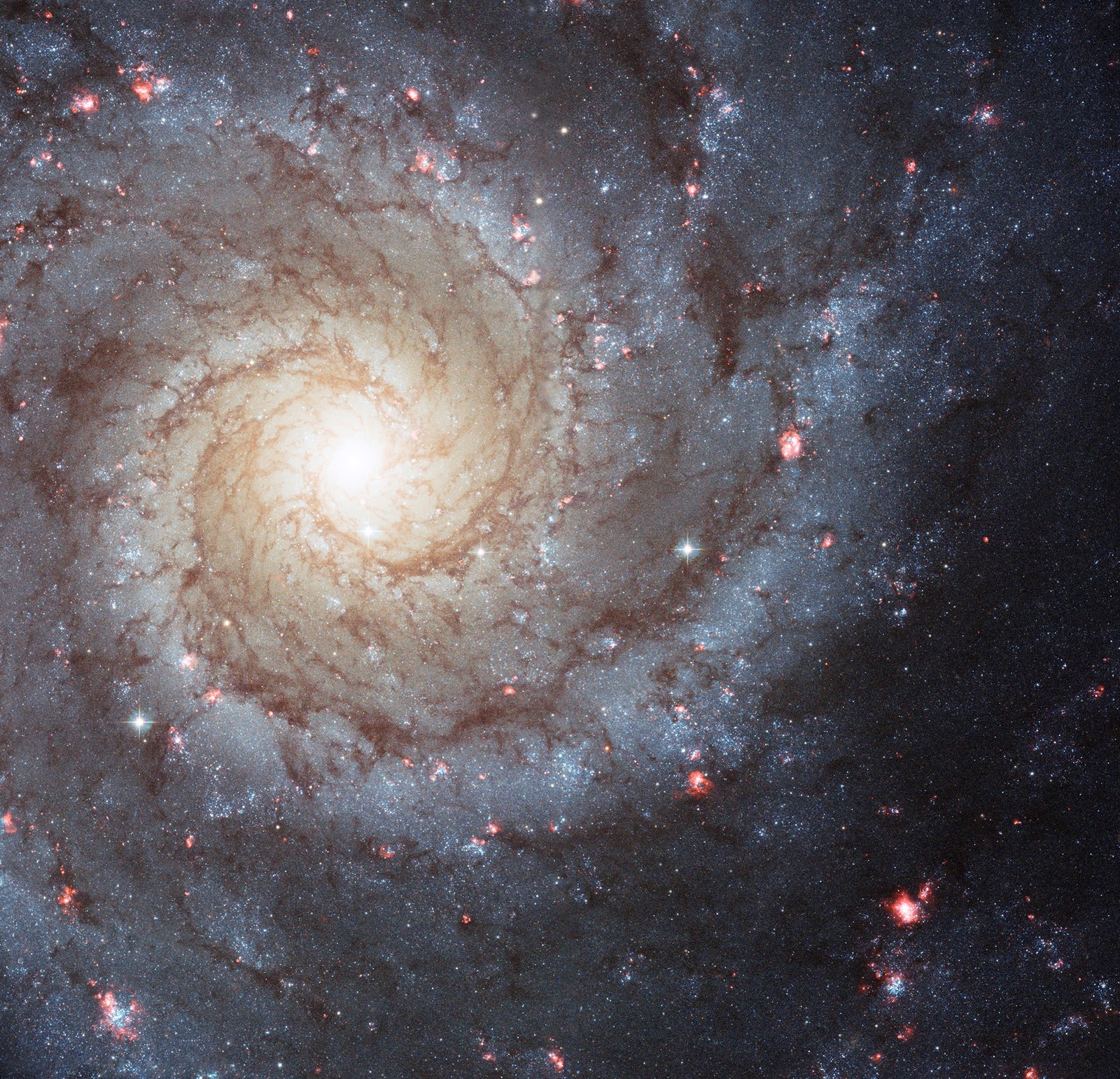 Close-up de uma galáxia espiral com uma luz brilhante no centro (galáxia espiral, galáxia, astronomia, nebulosa, universo)