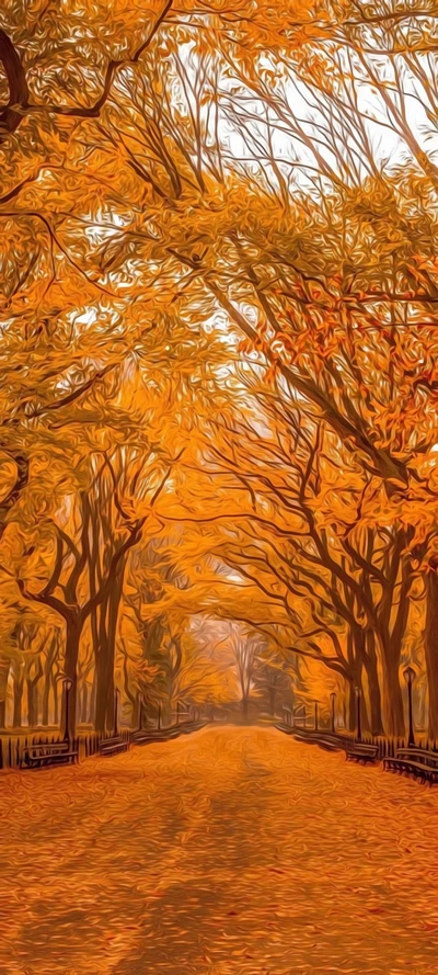 Sérénité d'Automne dans Central Park : Un Chemin de Feuilles Ambre et d'Arbres