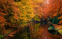 Autumn Reflections: A Serene Waterway Framed by Vibrant Deciduous Trees