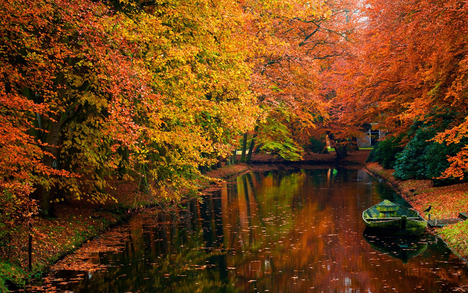 Arafed boat on a river surrounded by trees with orange leaves (landscape, tree, nature, reflection, leaf)