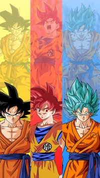 Скачать обои этапы гоку 1, фазы гоку 2, fases de goku 2, гоку суперсан синй, goku sayayin blue