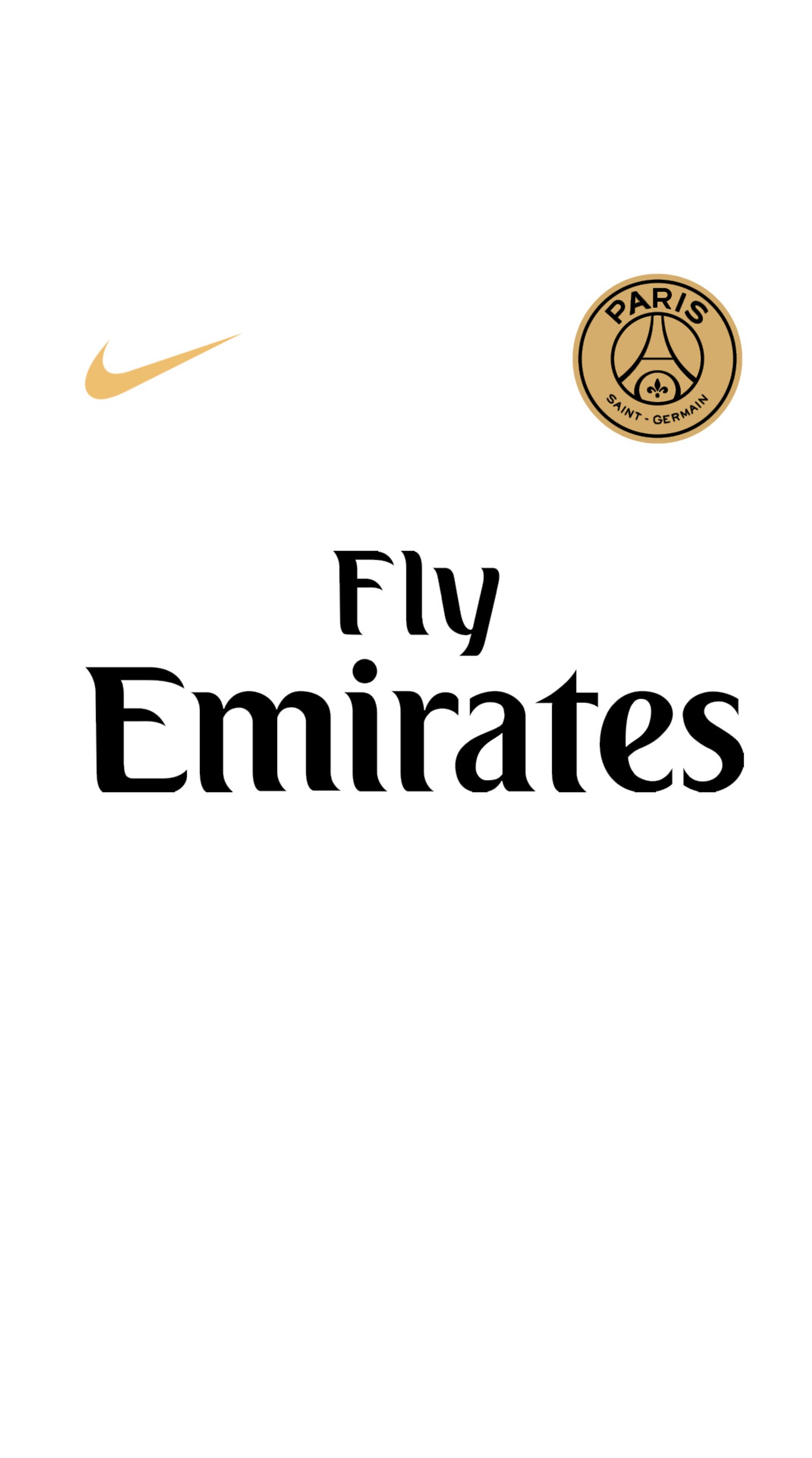 Nahaufnahme eines fußballs, der über ein logo fliegt (champion, frankreich, jersey, liga 1, ligue 1)