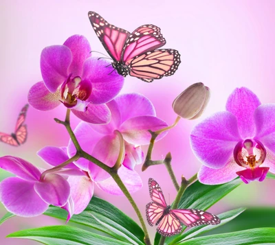 Mariposas delicadas entre orquídeas vibrantes