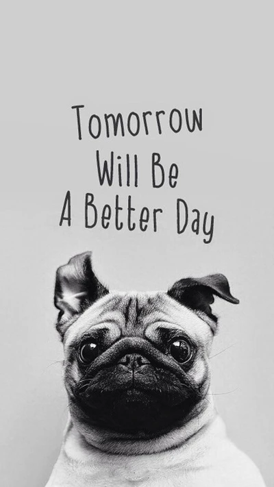 Hopeful Pug: Tomorrow Will Be a Better Day