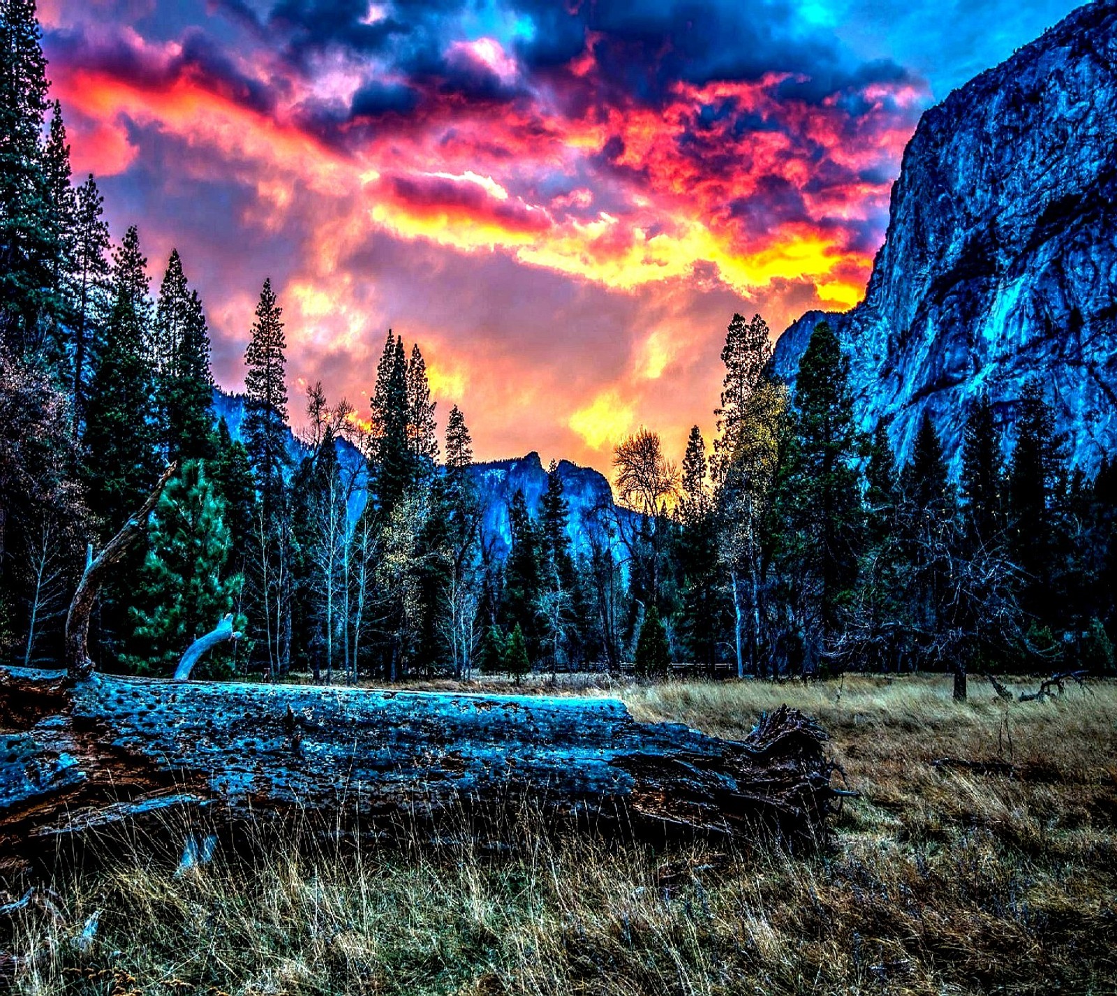 Un coucher de soleil coloré sur une montagne avec un arbre tombé au premier plan (nature)