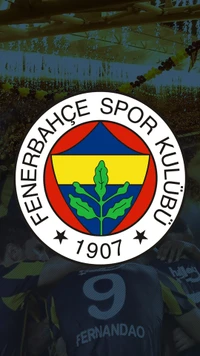 fener, fenerbahce, fifa, football, soccer wallpaper