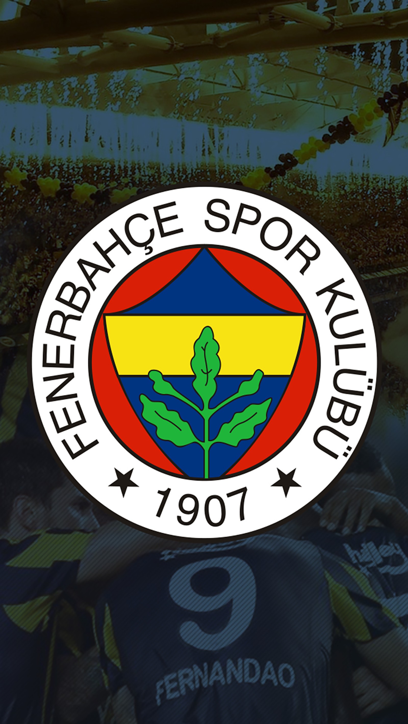 Скачать обои фенер, фенербахче, fenerbahce, фифа, fifa