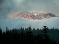 Montagnes enneigées sereines émergeant d'une nature sauvage brumeuse