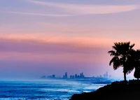 Tranquil Horizon: Sunset Over Ocean and City Skyline