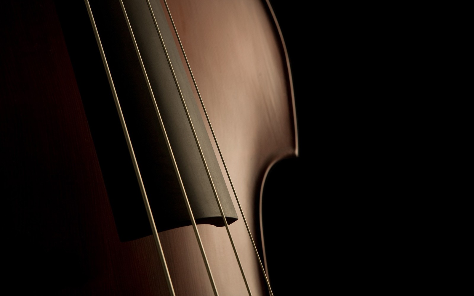 Lade kontrabass, cello, bassgitarre, geige, saiteninstrument Hintergrund herunter