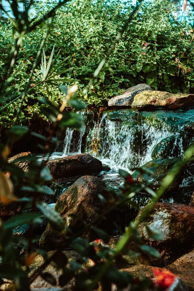 Cascata serena caindo sobre rochas em vegetação exuberante de floresta tropical