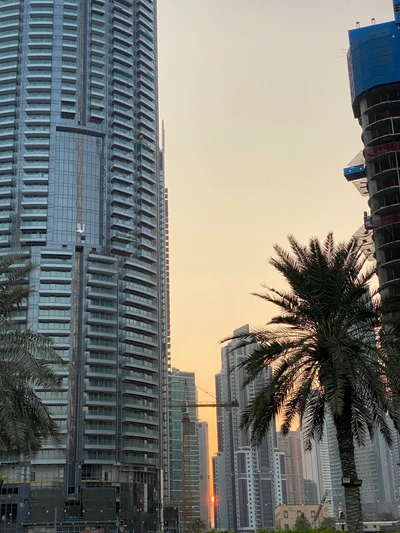 Reflexão do pôr do sol em blocos de torres urbanas em uma metrópole