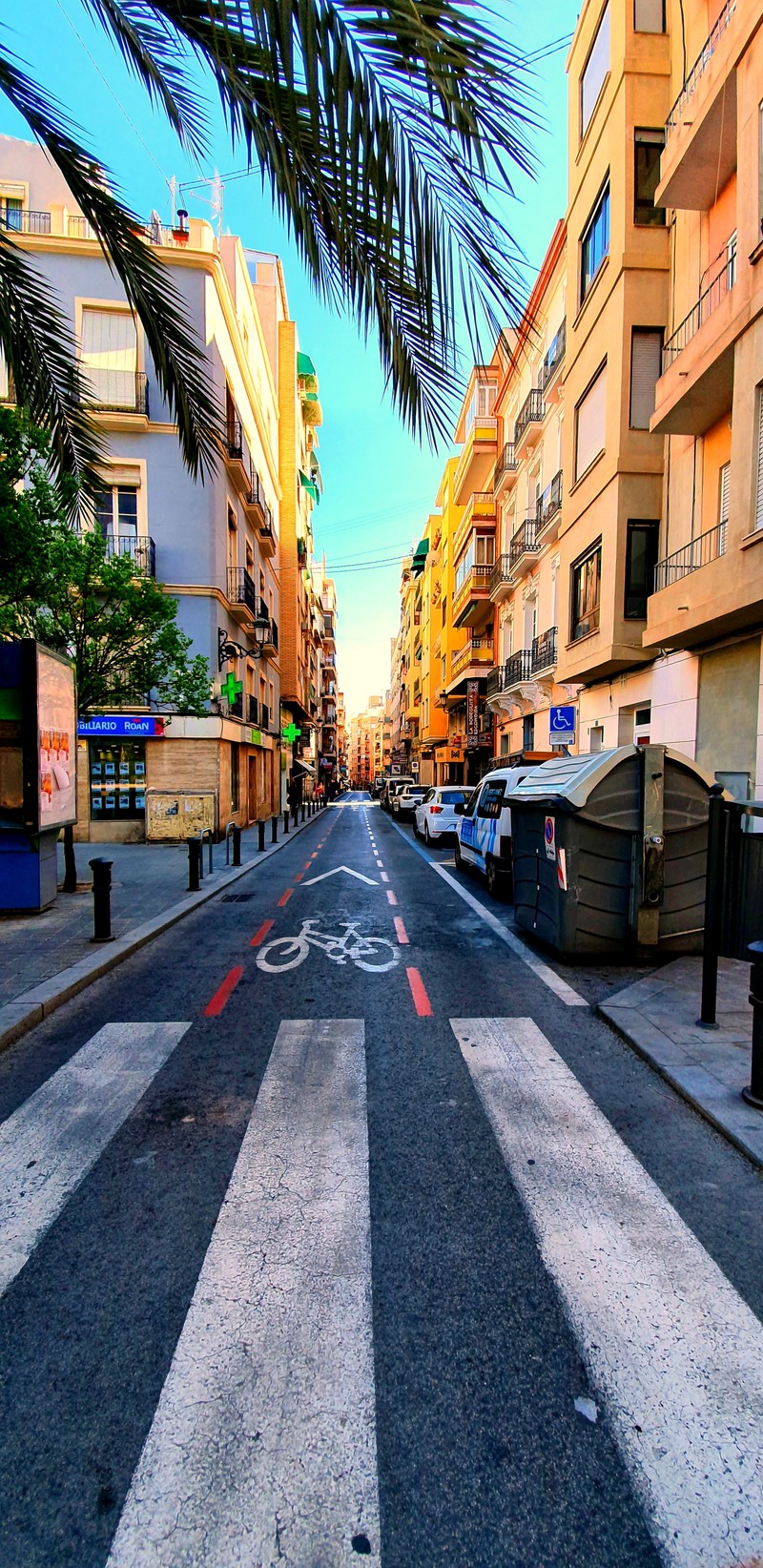 На улице посреди города есть велосипедная дорожка (alicante, испания, улица)