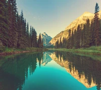 bosque, lago, montañas, naturaleza, reflexión