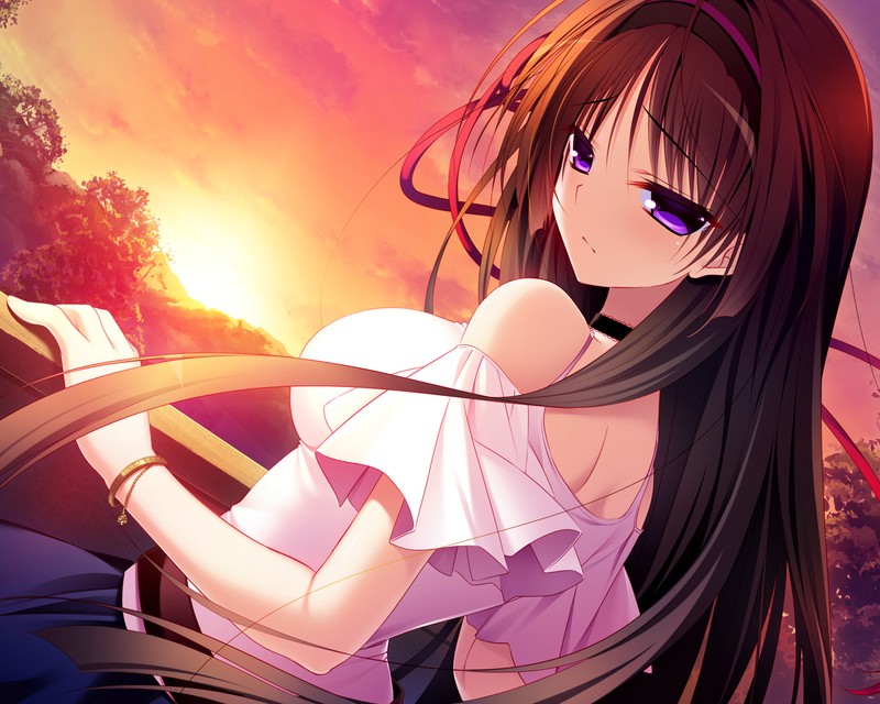 Anime girl with long hair and purple eyes holding a sword (dress, purple, sad, sunset, wind)