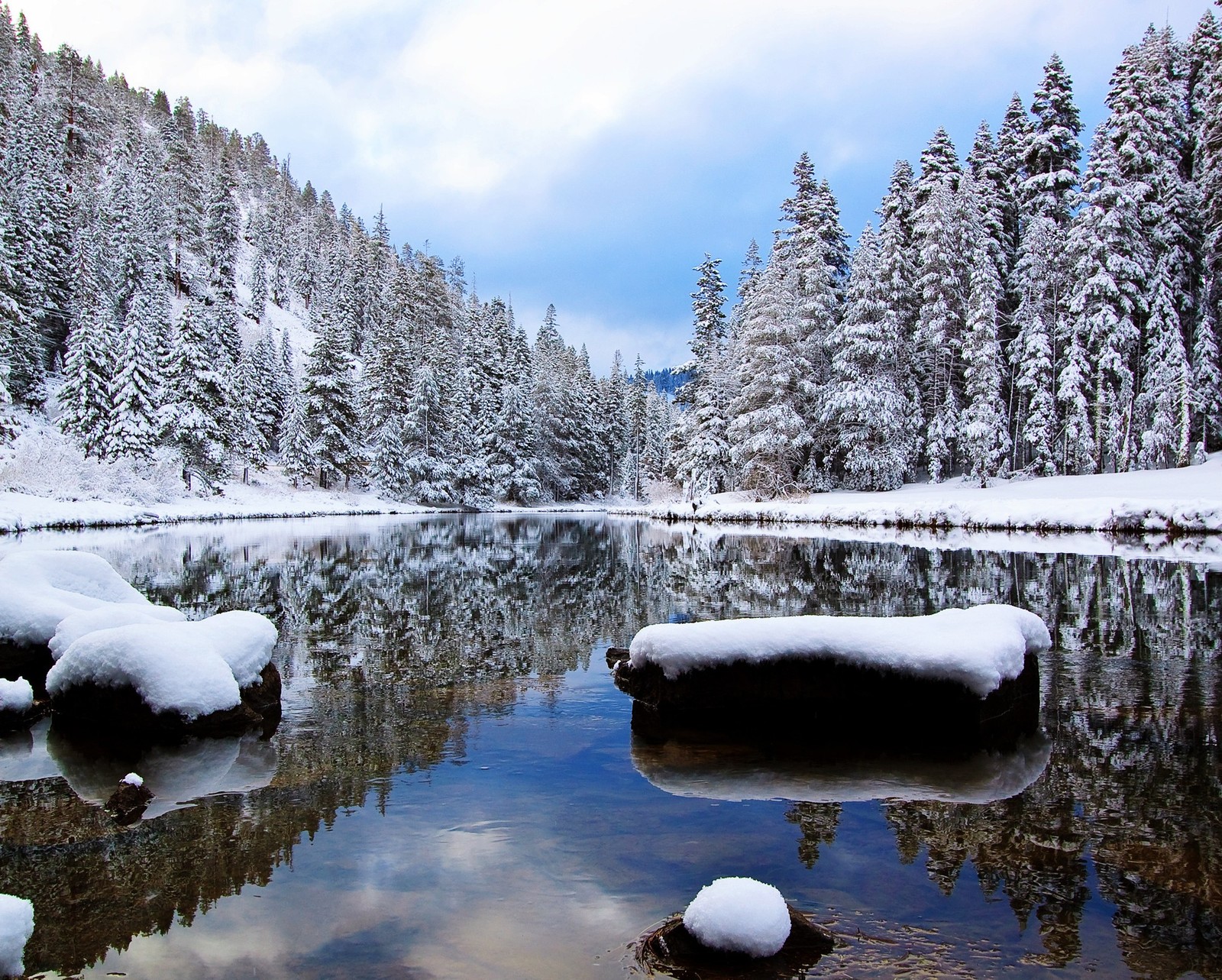 Árvores cobertas de neve se refletem na água tranquila de um lago de montanha (frozen, lago, flúmen, neve, inverno)