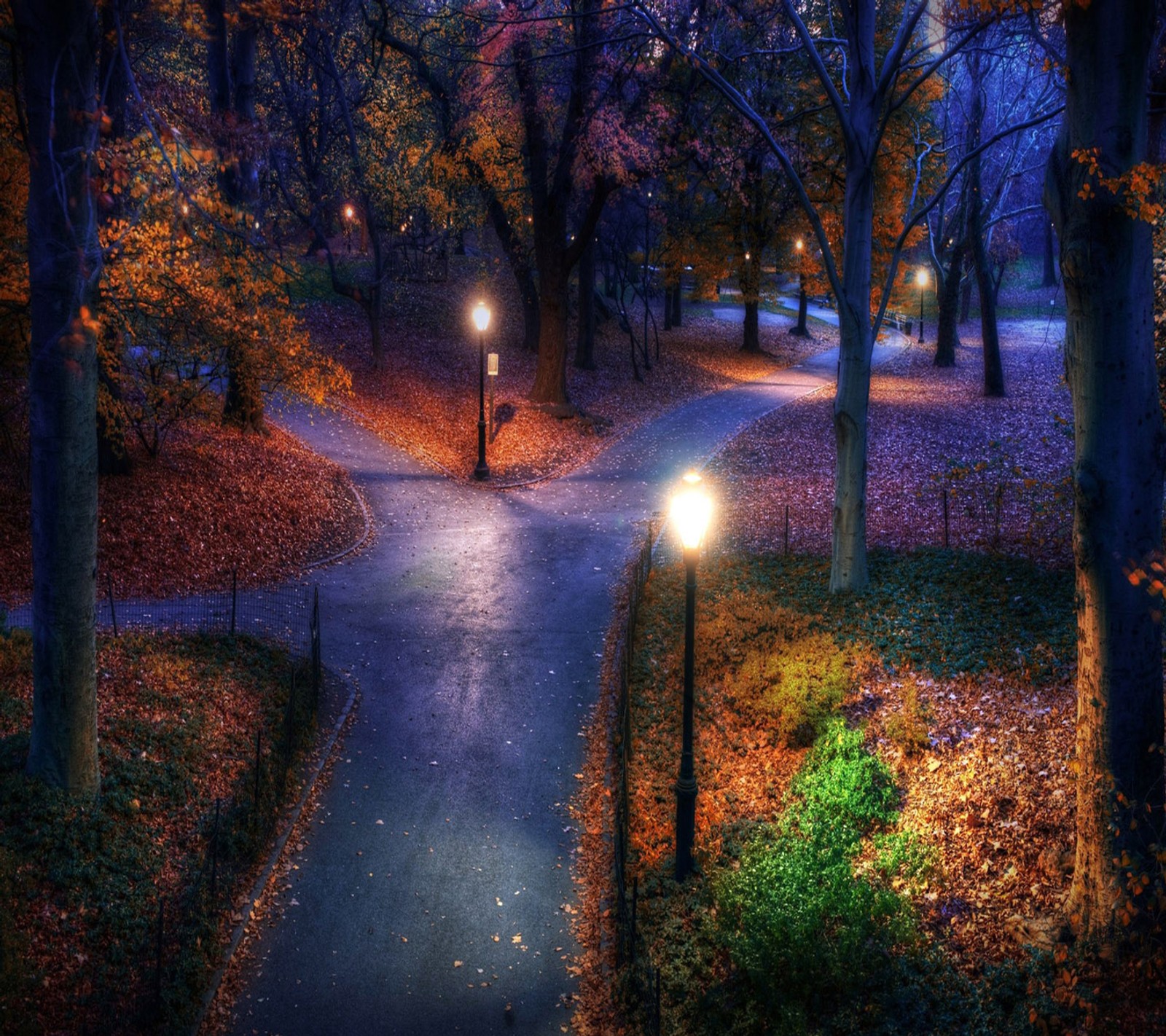 Un chemin pavé dans un parc avec un lampadaire et des arbres (best evening, lumière, lovely night, nature, vue nocturne)