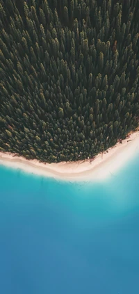 Praia tranquila e floresta exuberante encontram águas azuis