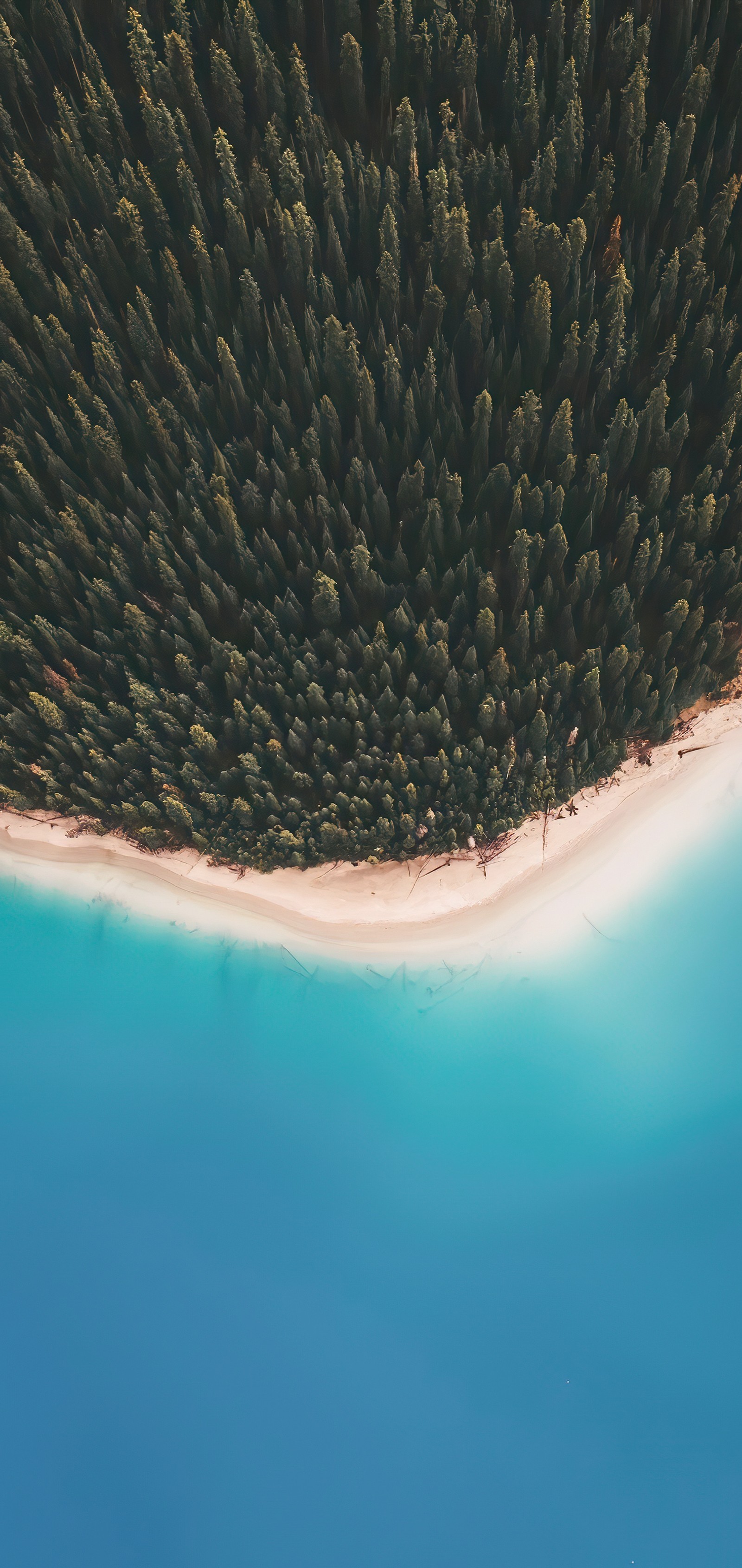 Aerial view of a beach with a white sand and blue water (water resources, mathematics, water, cloud, beach)