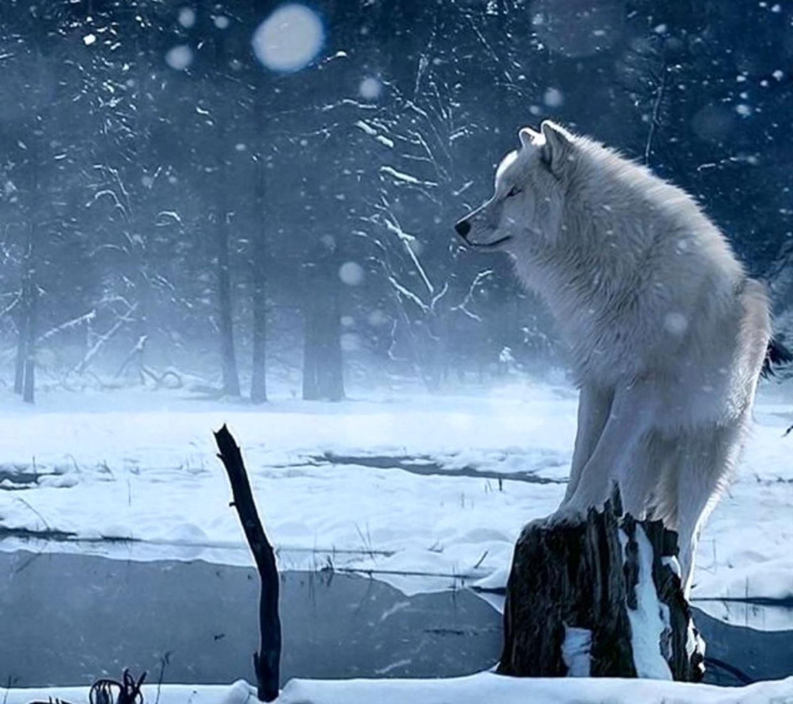 Schneebedeckte szene eines einsamen weißen wolfes, der auf einem baumstumpf steht (schön, der wolf)