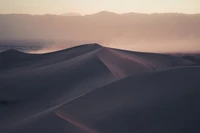 dune, sable, erg, matin, écorégion