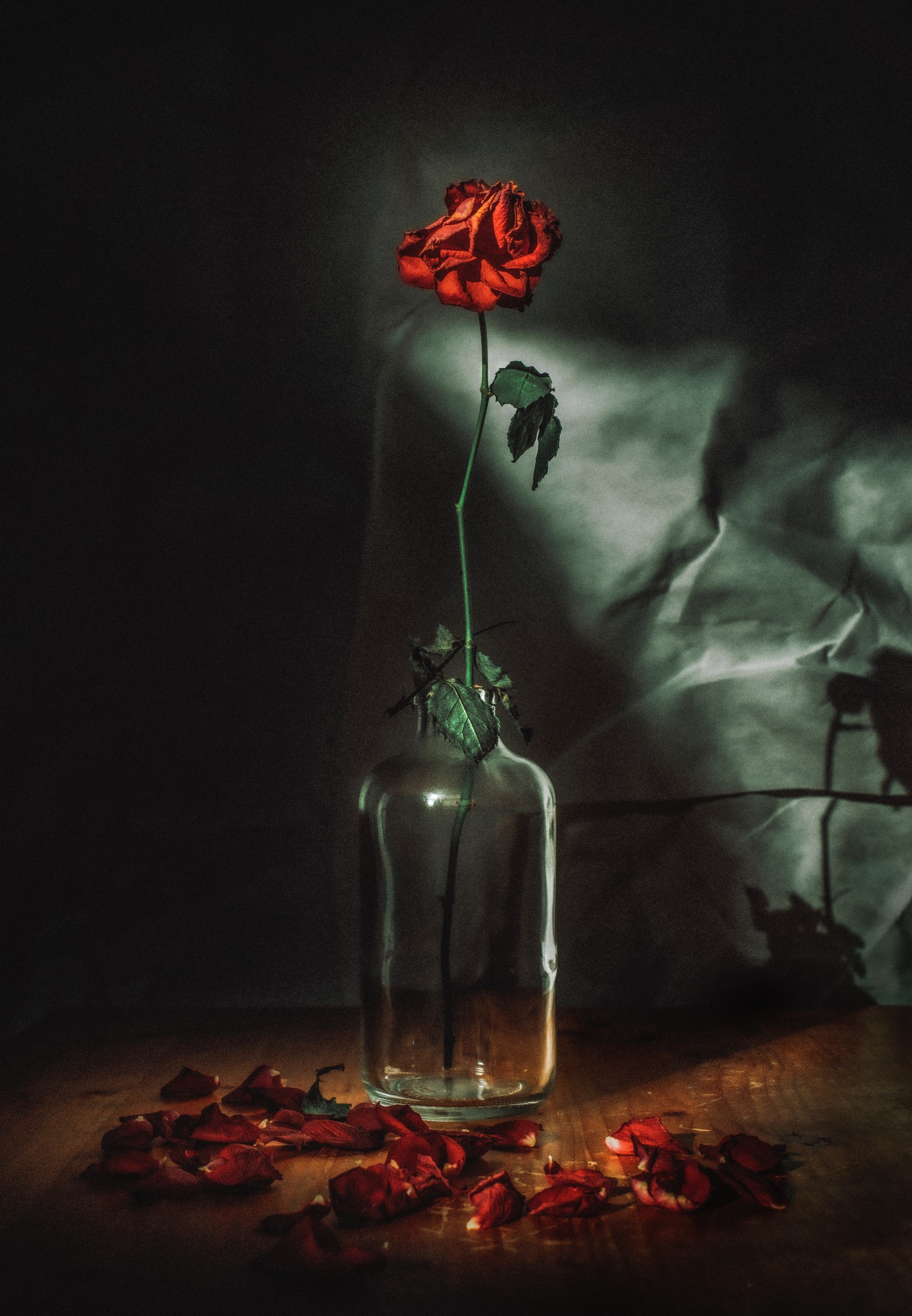 There is a glass vase with a red flower in it (flower, red, light, still life, darkness)