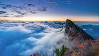 Majestuoso pico de las tierras altas sobre un mar de nubes al atardecer