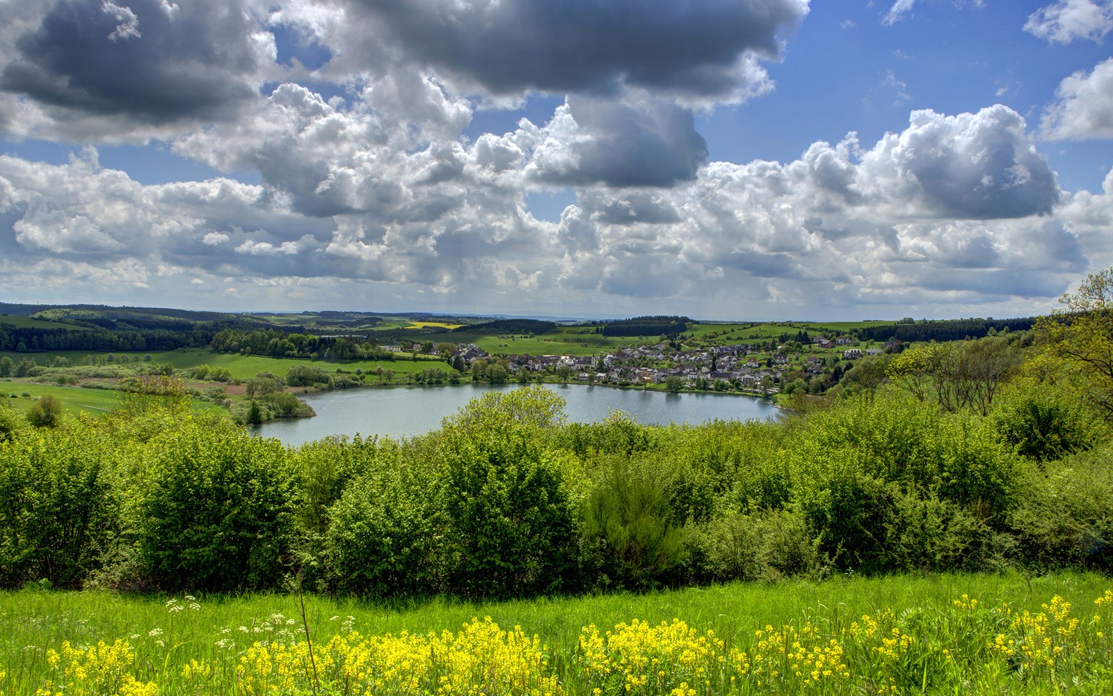 Una vista de un lago rodeado de hierba verde y árboles (pintura de paisajes, campo, paisaje natural, naturaleza, pradera)