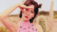 red velvet, wendy, son seung wan, the reve festival day 2, kpop wallpaper