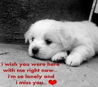 Lonely Puppy Expressing Love and Longing