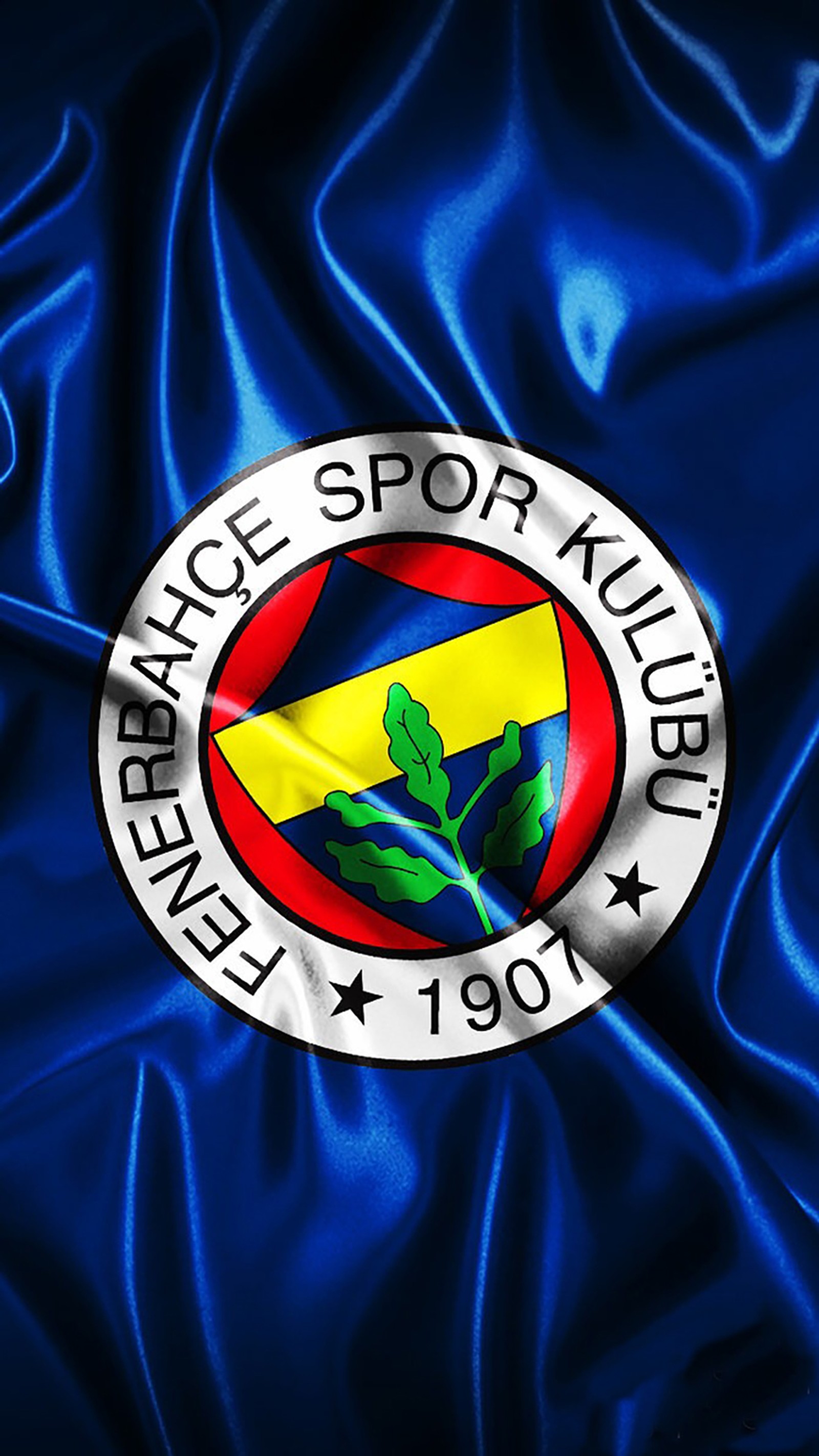 Nahaufnahme eines blauen satinstoffs mit einem logo darauf (fenerbahçe, fenerbahce, fußball, sport, truthahn)